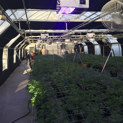 Sjálfvirk gróðurhúsalitunarkerfi